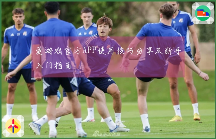 爱游戏官方APP使用技巧分享及新手入门指南