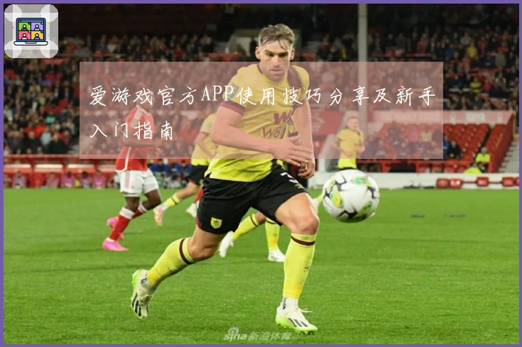 爱游戏官方APP使用技巧分享及新手入门指南